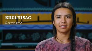 Biigijiisag = decayed wood , Ojibwe word of the day! Learning languages is  fun and honors our ancestors and future generations. Follow #Ojibwe WOD:  https://www.youtube.com/@anton.treuer Miigwech ...