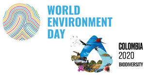 It is celebrated on 5 june to highlight the importance of environment, their issues, and its effects on our life and nature. World Environment Day 2020 Rajras