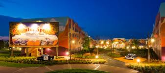 Disney S Art Of Animation Resort Archives The Disney Blog There is a art of animation cars family suite, a finding nemo themed disney world family suite, and a lion king section with themed rooms.