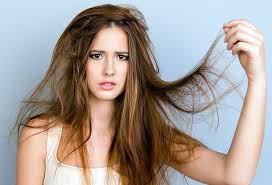 Once the oil is warm, turn off the burner and let it cool until you can touch it. How Do You Treat Extremely Dry Hair