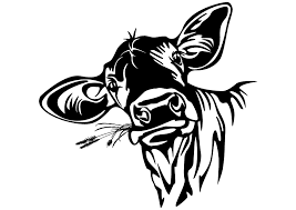 Pin By Mandy King Jones On Vinyl Cricut Mod Podge Cricut Projects Vinyl Silhouette Images Cow