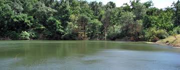 Oaspetii beneficiaza de acces la bazine cu apa sarata, utilizata in. Minciunile PrimÄƒriei Turda DocumentaÈ›ia Privind BÄƒile SÄƒrate Nu E FinalizatÄƒ DeÈ™i Au AnunÈ›at Consultarea PublicÄƒ Infoaries