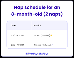 8 month old sleep schedule guide: Nap times, wake windows, and more