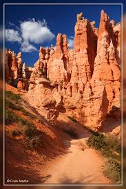 We did not find results for: Bryce Canyon Nationalpark Queens Garden Trail Foto Bild North America United States National Parks Bilder Auf Fotocommunity
