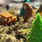 Nature Play & Learn: Footprints and Folklore event image