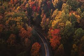 High resolution fall macbook wallpaper. Free Amazing Hd Fall Wallpapers For Your Mac Applegazette