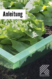 Schneckenzaun Selber Machen In 2020 Schneckenzaun Schnecken Im Garten Selbstversorger Garten