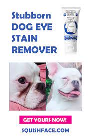 Squishface Wrinkle Paste Cleans Protects Dog Wrinkles Tear Stains And Tail Pockets In 2021 Wrinkle Dogs Dog Skin Care Dog Skin