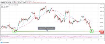 To determine the hourly, daily, weekly, monthly and yearly profit that you would make on your mining activity. Bitcoin Price Dives To 9 100 But This Pattern Will Soon Rocket It Above 10 000
