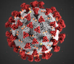 It was first identified in december 2019 in wuhan,. Retracted Coronavirus Covid 19 Papers Retraction Watch
