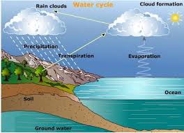 Air yang diuapkan oleh tanaman dilepas ke atmosfer.evaporasi merupakan pergerakan air ke udara dari berbagai sumber seperti tanah, atap, dan badan air. Siklus Hidrologi Dan Proses Proses Terjadinya