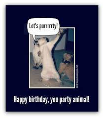 Image result for funny birthday