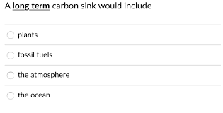 solved: a long term carbon sink would