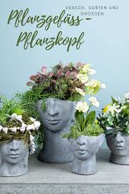 Pflanzkopf Buste Aus Beton Zum Pflanzen Grau H13cm 2st Pflanzen Frische Blumen Pflanzgefasse