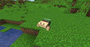 Red blue white green orange purple pink grey frogs, being. Vazkii S Mods On Twitter No Matter If You Re Spending The Holidays Alone With Friends Or With Family You Can T Forget To Bring Your Ugly Sweater Frog Available Now In The New Quark