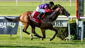 While waiting for the start of the 145 th preakness (g1), post time is scheduled for 5:36 p.m. Call To Mind Shows Staying Power And So Does The Queen Horse Racing News Racing Post