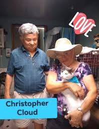 39 Tampa Bay Locations Where You Can Help Clear The Shelters