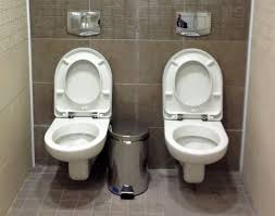 Check spelling or type a new query. The Mysterious Case Of The Double Toilet Bbc News