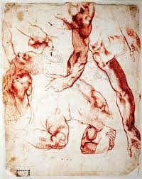 The Anatomy Of Michelangelo 1475 1564 Hektoen International Learn how to draw human body reference pictures using these outlines or print just for coloring. the anatomy of michelangelo 1475 1564