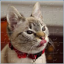 Start solving your favorite jigsaw puzzle now! Funny And Cute Jigsaw Puzzles Free Online Jigsaws
