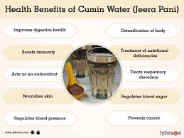 The seeds are dried and roasted and then ground into a powder, which is used in a variety of when consumed alongside an overall healthy diet, cumin can provide health benefits as it is packed with a variety of beneficial compounds such. Cumin Water Jeera Pani Benefits And Its Side Effects Lybrate
