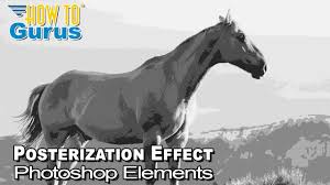 How To Resize An Image In Photoshop Without Losing Quality Online How To Make A Photoshop Elements Gray Scale Posterization Effect In 2020 Photoshop Elements Photoshop Elements Tutorials Sketch Photoshop