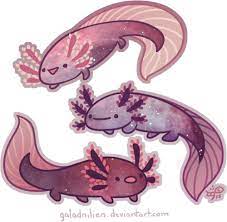 Cartoon drawings animal drawings cute drawings husky drawing arte dope baby animals cute animals kawaii illustration cute husky. Space Axolotl Derp Derp Derp I Love Axolotls And Space And So Yes Random Pictures Of Space Are Random Cute Art Cute Animal Drawings Cute Drawings