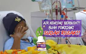 Malah, terdapat banyak garis panduan untuk dirujuk oleh para profesional kesihatan berkenaan sesuatu penyakit dan ubatnya. Tanda Tanda Sakit Buah Pinggang Rosak Cara Atasinya Biolingzhi
