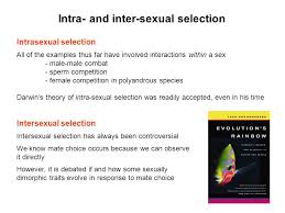 Intersexual is how well one female or male looks. Eeob 400 Lecture 9 Sexual Selection Ppt Video Online Download