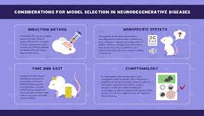 Murine Models Of Neurodegenerative Diseases Maze Engineers