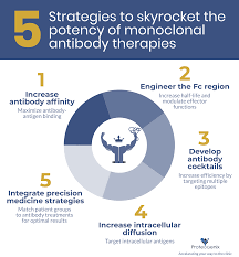 Wide species reactivity, highly cited and reviewed igg antibodies 5 Strategies To Skyrocket The Potency Of Monoclonal Antibody Therapy
