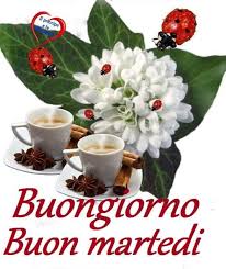 Buon Martedi Foto 179 Buongiorno Immagini It