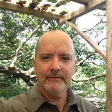 Journalists entering political work not new, but can impact perceptions of  bias: experts