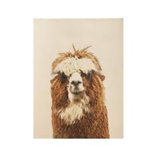 Alpaca Animal Portrait Wood Poster Zazzle Com In 2020 Alpaca Stuffed Animal Pet Portraits Animals
