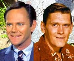 Did you prefer Dick York or Dick Sargent as Darrin in "Bewitched"?