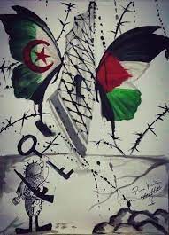 من أجمل الصور الجزائر و فلسطين روح واحدة هدف واحد palestine art islamic art palestine