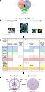 Toxoplasma Modulates Signature Pathways Of Human Epilepsy