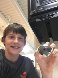 Need spare rocker set in southeast Roseville, MI?