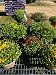 Profile for Piney Woods Farm