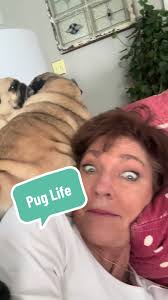 The Fun Adventures of Pug Central