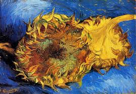 Portrait de l'artiste sans barbe. Two Sunflower Hd Wallpapers Free Download Wallpaperbetter
