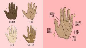 Palm Reading For Beginners A Guide To Reading Palm Lines
