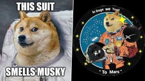 Последние твиты от dogecoin to the moon (@dogecoindollar1). O817q3xzv4djom