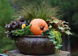 Container Gardening Pumpkin Style Mit Bildern Container Garten Gartencontainer Blumenkubel Fur Den Herbst