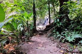 See more ideas about honduras, cerro azul, bird watching tower. Activities Panacam Lodge