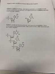 What three components make up a nucleotide? Solved Problem 1 What Are The Three Components That Make Up Chegg Com