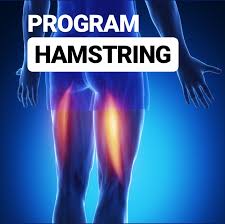 A hamstring injury is a strain (muscle tear). Program For Hamstring Injuries Footballmentor