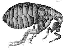 the classic beautiful and controversial books that changed science forever tarih