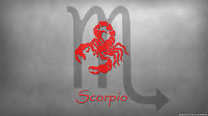 scorpio zodiac wallpaper 63 images