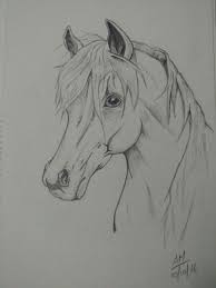 Realistic drawings of animals 42 incredibly realistic and. Pin By Arul Mozhi On Own Work Horse Drawings Animal Drawings Pencil Drawings Horse